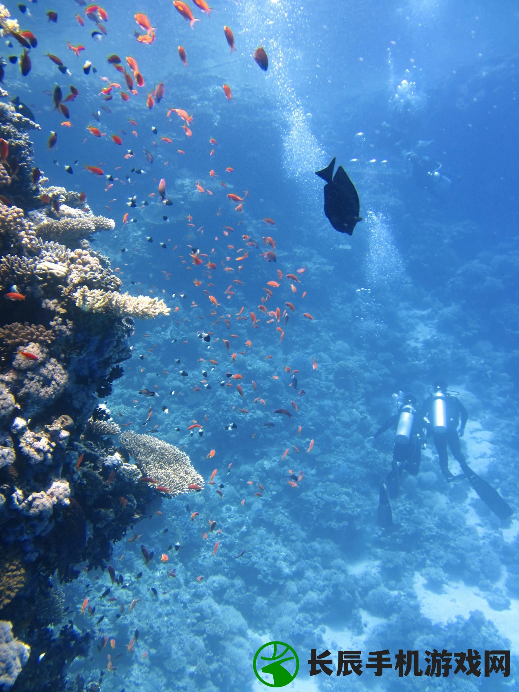 (潜水技巧最难掌握的是什么?探讨深海无限可能的方法)潜水技巧最难掌握的是什么？探讨深海无限可能。