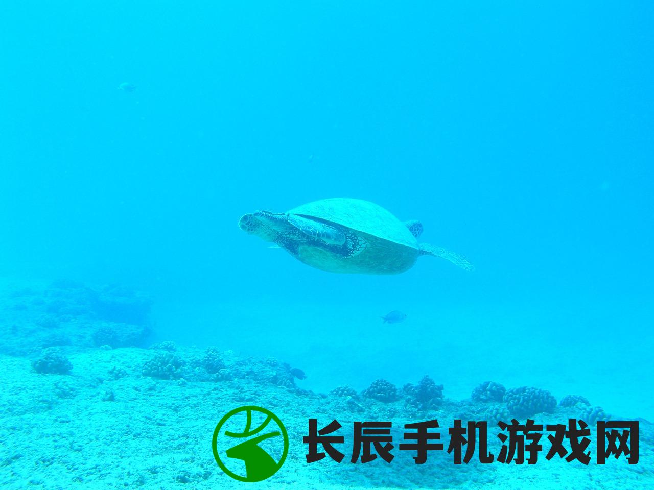 (潜水海底世界的短文)我的潜水日记：探索海底奇妙世界的神奇旅程（20个字符）