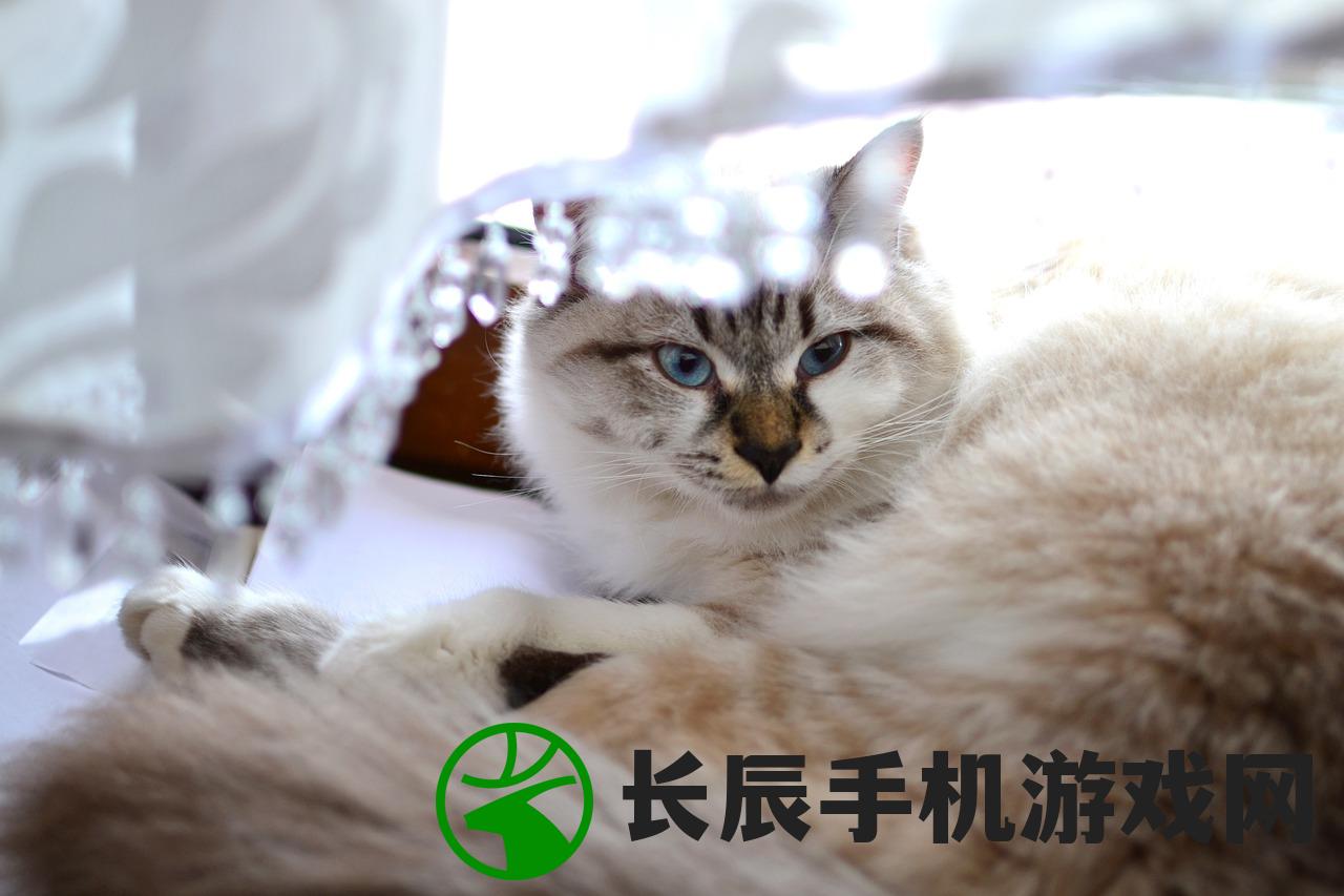 (《遇见你的猫》官网)遇见你的猫官方版：探索与猫相遇的奇妙世界